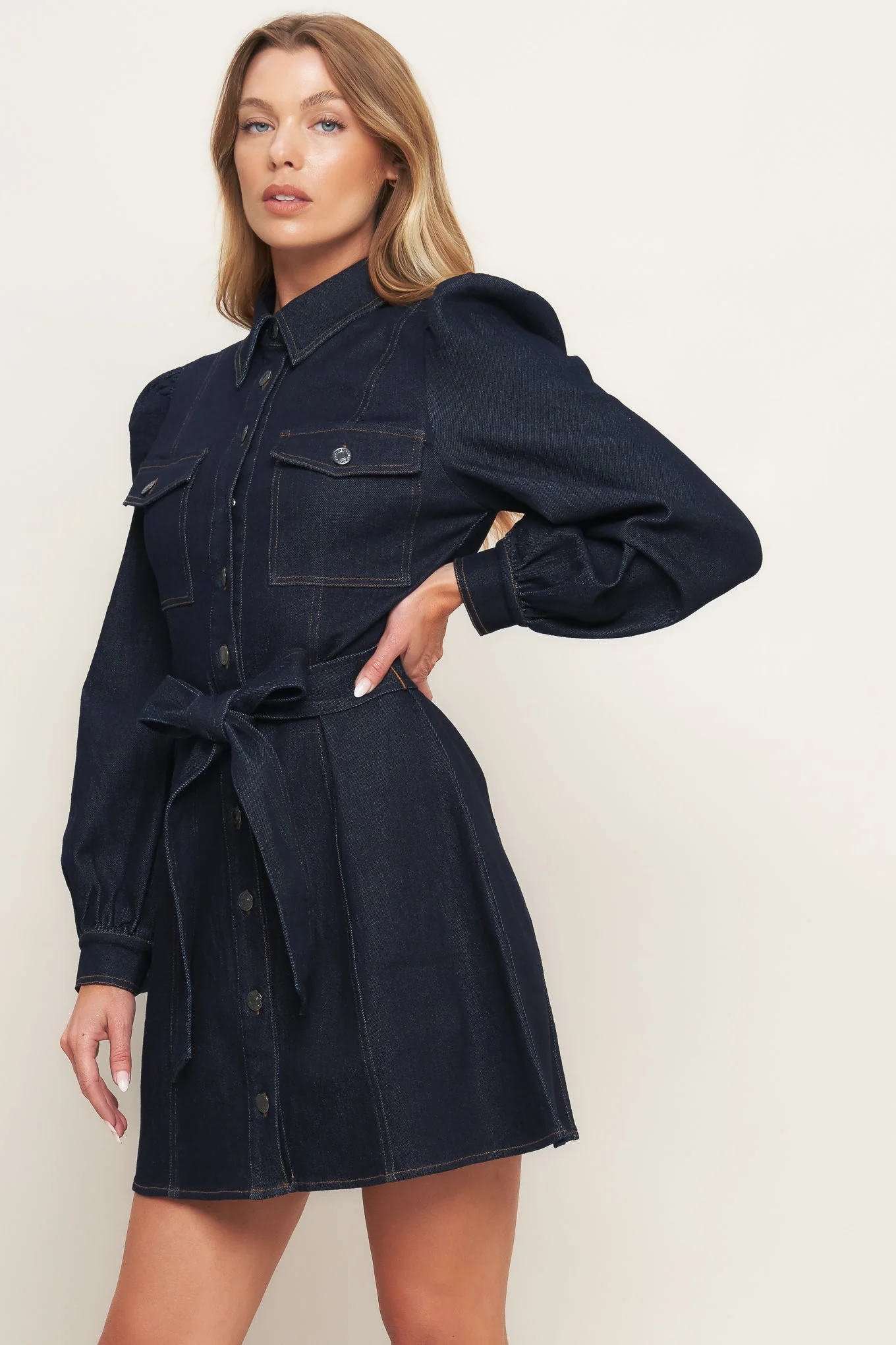 AUTUMN DAYS DARK INDIGO DENIM MINI DRESS - Image 5